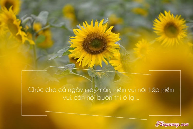 hình ảnh chúc may mắn thành công - Hình 2