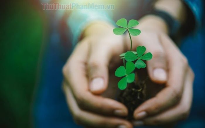 hình ảnh chúc may mắn thành công - Hình 3