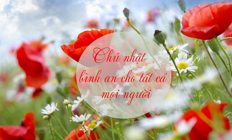 hình ảnh cuối tuần vui vẻ - Hình 4