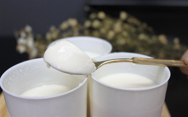 hình ảnh sữa chua nhà làm - Hình 3