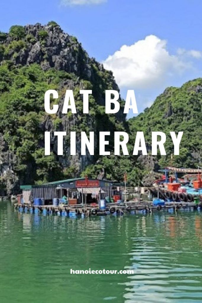 how to get to cat ba island - Hình 4