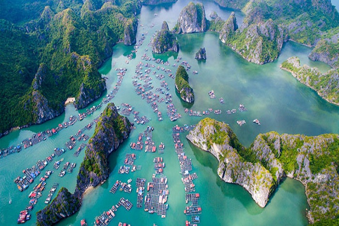 how to get to cat ba island