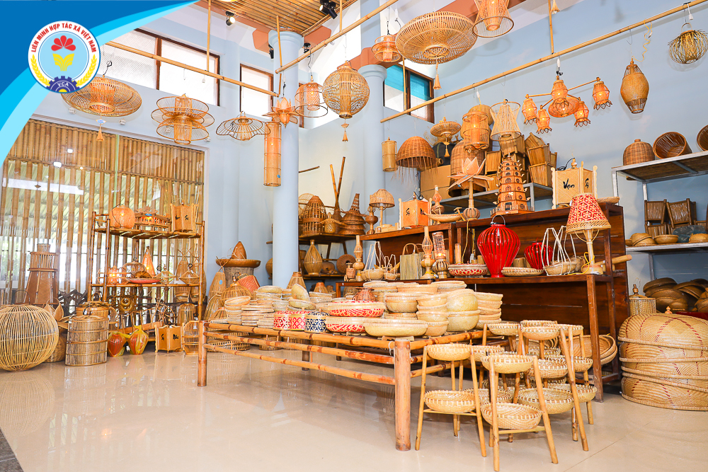 htx mây tre đan bao la - Hình 1