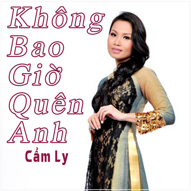 không bao giờ quên anh cẩm ly - Hình 2
