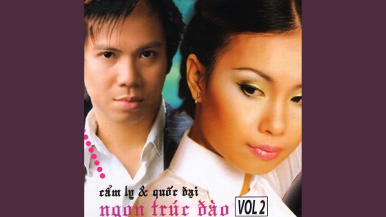 không bao giờ quên anh cẩm ly - Hình 3