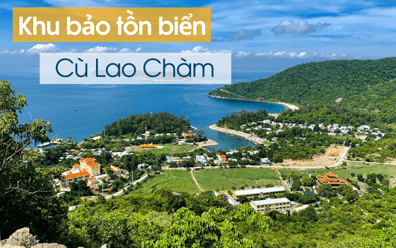 khu bảo tồn biển cù lao chàm - Hình 2