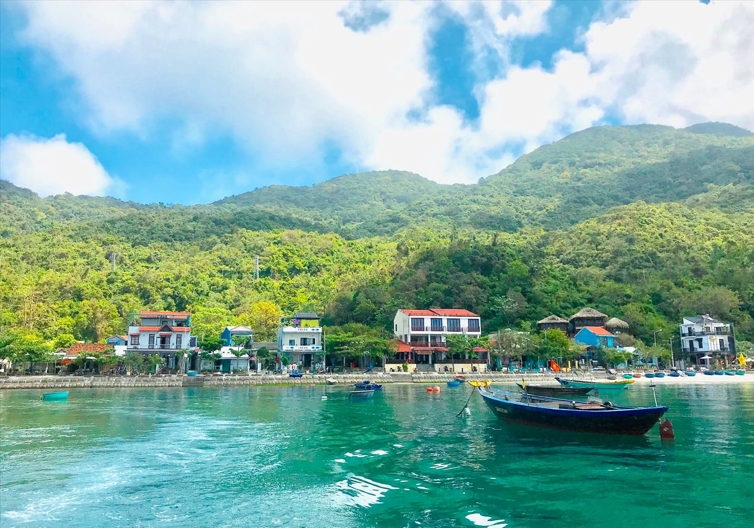 khu bảo tồn biển cù lao chàm - Hình 3