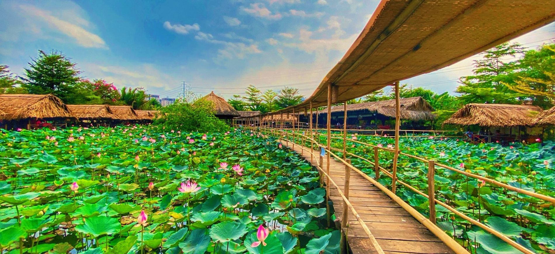 khu du lịch ở sài gòn - Hình 5