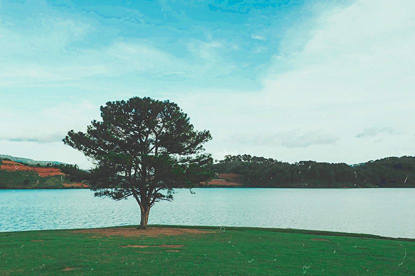 khu du lịch suối vàng đà lạt - Hình 3