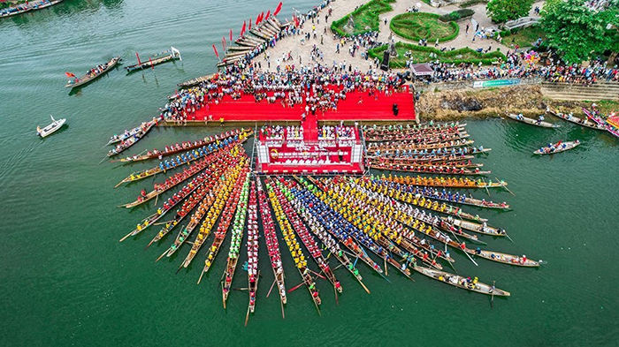 kiến giang lệ thủy quảng bình - Hình 3