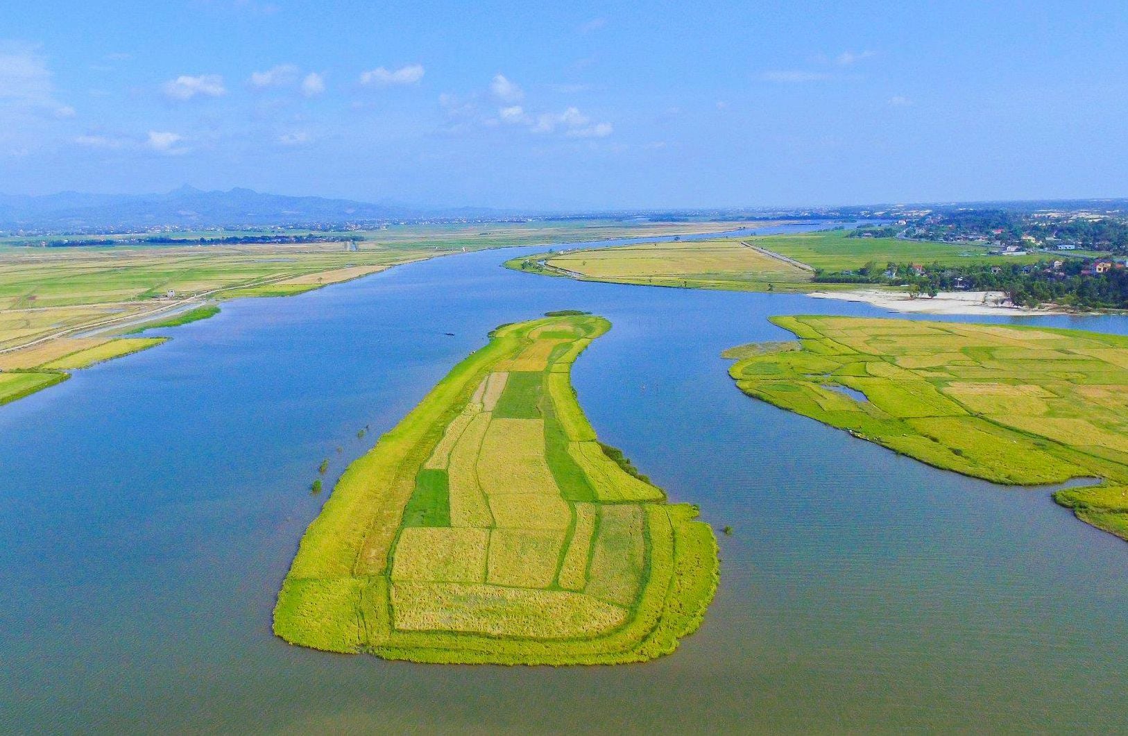 kiến giang lệ thủy quảng bình - Hình 5