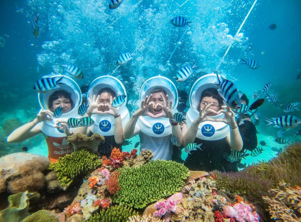 lặn ngắm san hô nha trang - Hình 2