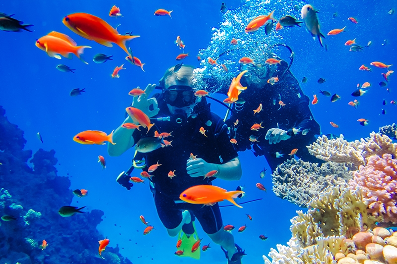 lặn ngắm san hô nha trang - Hình 3