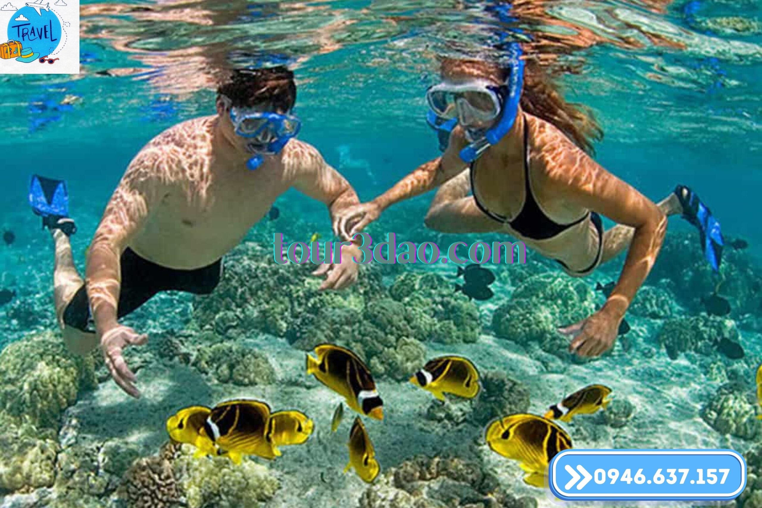 lặn ngắm san hô nha trang - Hình 4