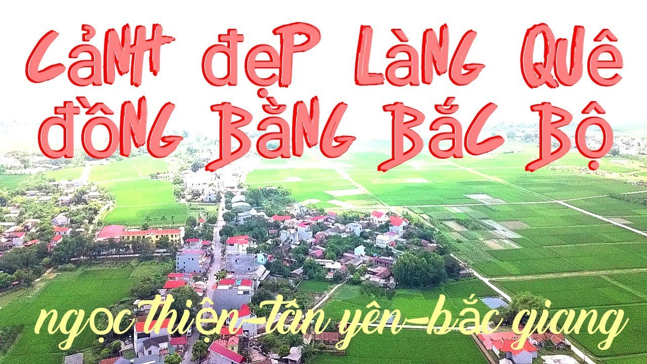 làng chè ngọc thiện tân yên bắc giang - Hình 2