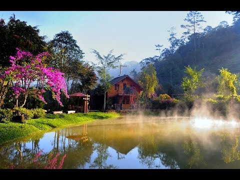 ma rừng lữ quán lát lạc dương lâm đồng - Hình 2