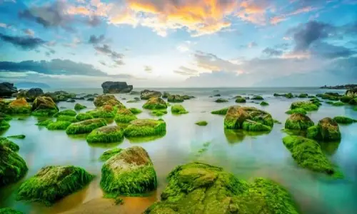 Cẩm Nang Đặt Vé Máy Bay Gia Lai Đà Nẵng: Hướng Dẫn Chi Tiết Và Kinh Nghiệm Thực Tế