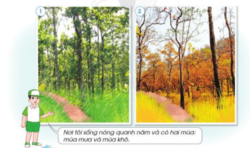 mùa khô bắt đầu từ tháng mấy - Hình 3