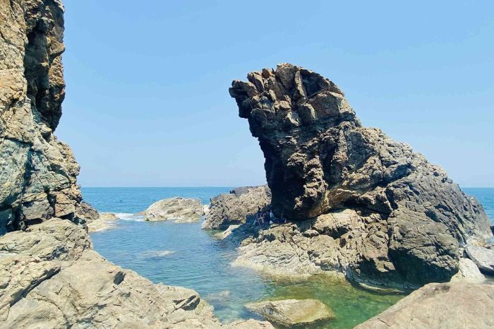 mũi nghê thọ quang sơn trà đà nẵng - Hình 2