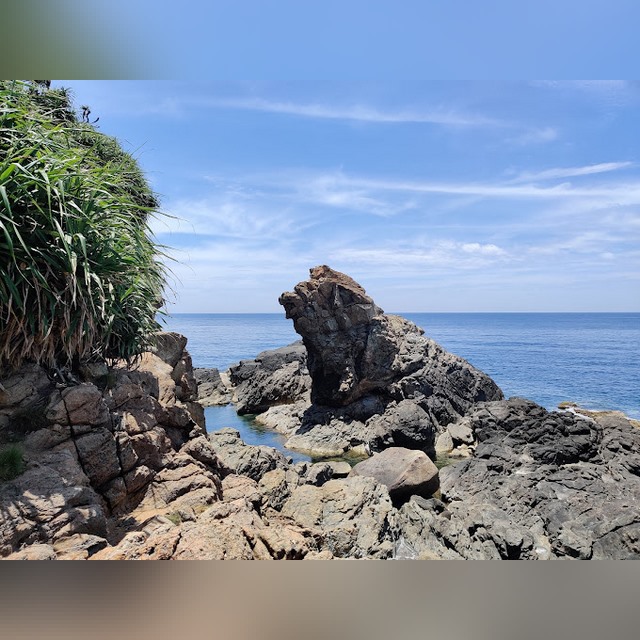 mũi nghê thọ quang sơn trà đà nẵng - Hình 4