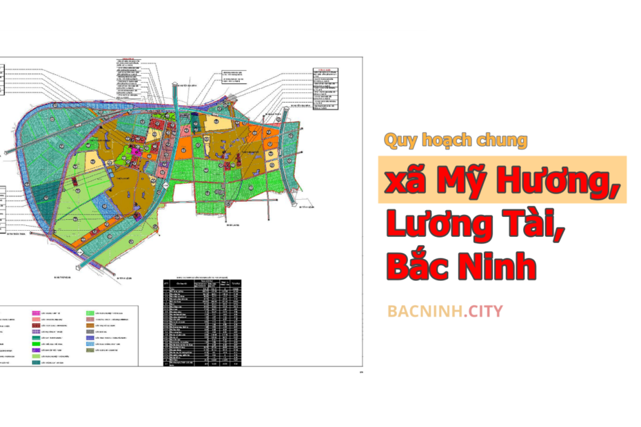 mỹ hương lương tài bắc ninh - Hình 4