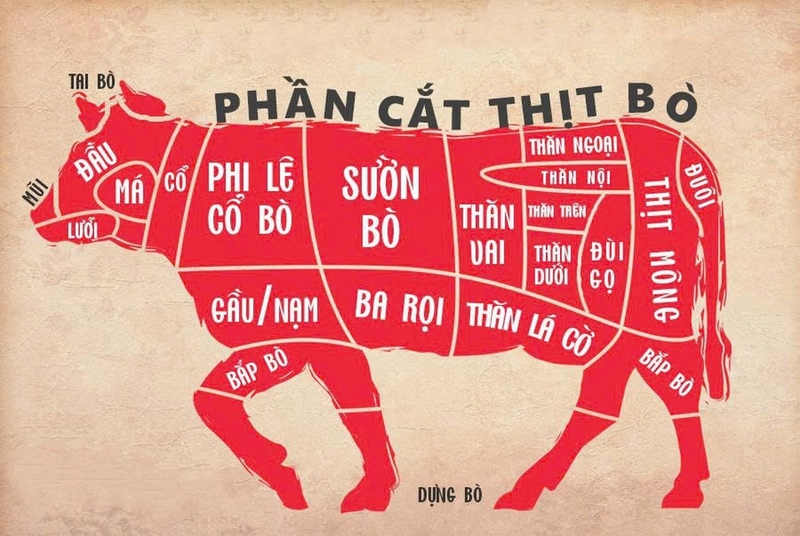 nạm bò là phần nào của con bò - Hình 2