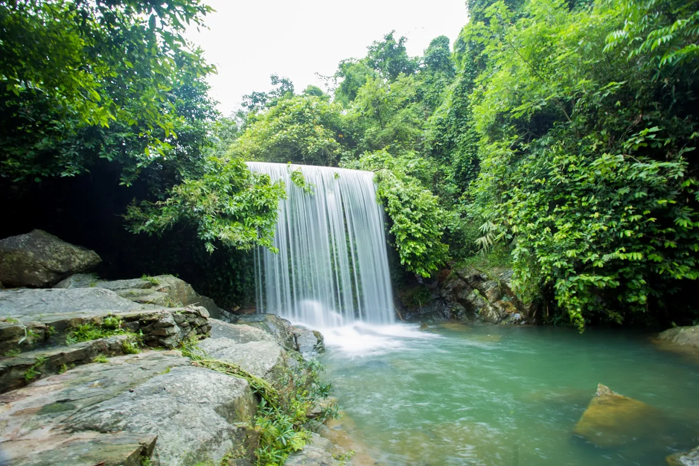 nên đi khoang xanh hay ao vua
