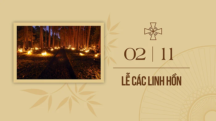 ngày 2 11 là ngày gì - Hình 3