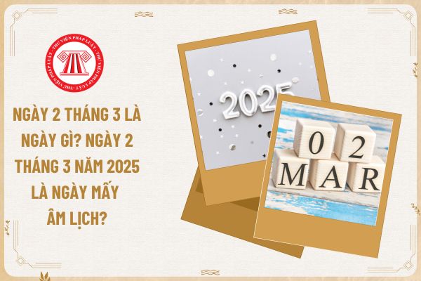 ngày 2 3 là ngày gì - Hình 4