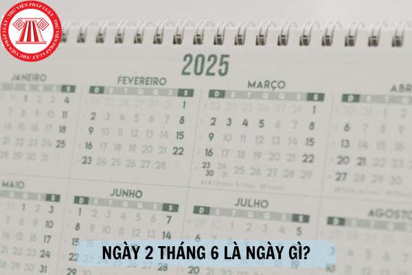 ngày 2 6 là ngày gì - Hình 4