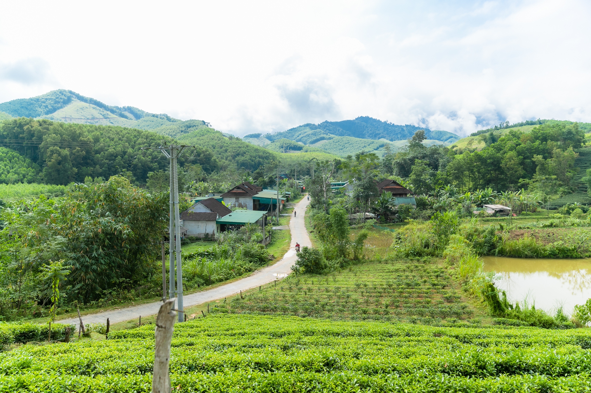 ngọc lâm thanh chương nghệ an - Hình 1