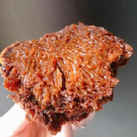 Bánh Bò Thốt Nốt: Cẩm Nang Ẩm Thực Đặc Trưng Vùng Sông Nước Bánh Bò Thốt Nốt: Cẩm Nang Ẩm Thực Đặc Trưng Vùng Sông Nước