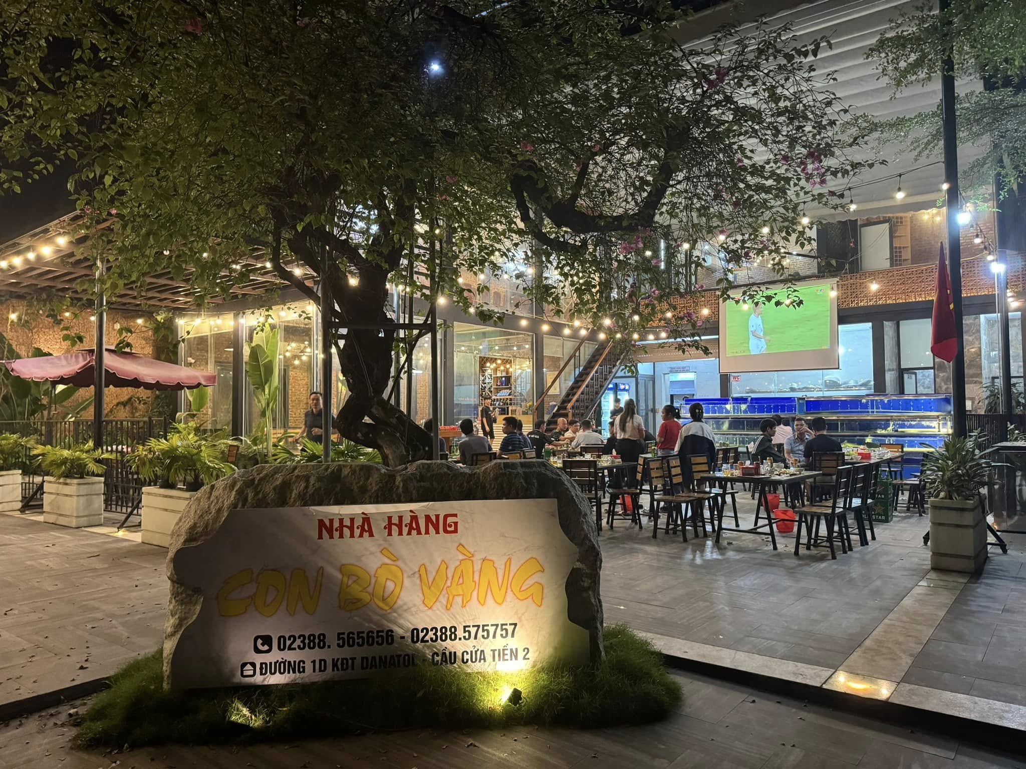 nhà hàng con bò vàng cửa tiền - Hình 1