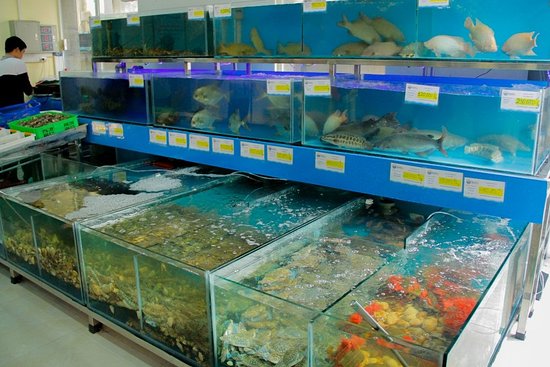 nhà hàng hải sản tươi sống - Hình 2
