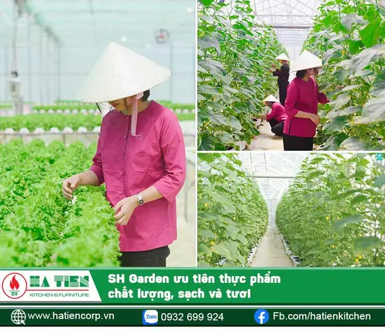 Review Nhà Hàng Quận 2 Thảo Điền: Trải Nghiệm Ẩm Thực Việt Tại Sh Garden