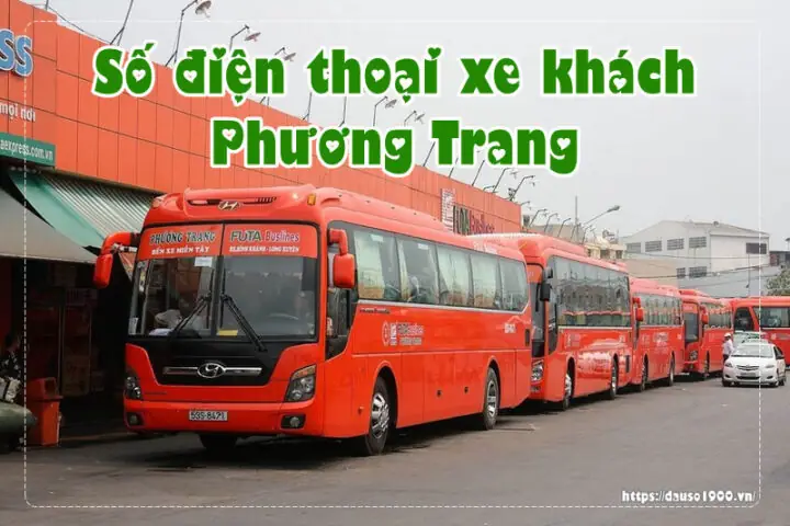 Nhà Xe Phương Trang Quảng Ngãi: Review Chi Tiết Từ Hành Khách, So Sánh Giá Vé & Chất Lượng Dịch Vụ Nhà Xe Phương Trang Quảng Ngãi: Review Chi Tiết Từ Hành Khách, So Sánh Giá Vé & Chất Lượng Dịch Vụ