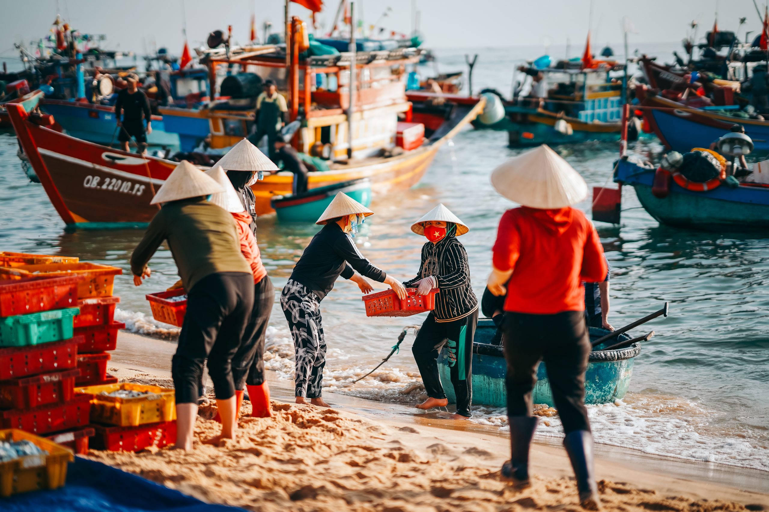 nhân trạch bố trạch quảng bình - Hình 1