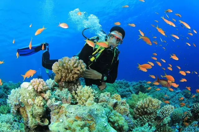 Vịnh Vân Phong: Cẩm Nang Khám Phá 4 Thiên Đường Biển Nha Trang Vịnh Vân Phong: Cẩm Nang Khám Phá 4 Thiên Đường Biển Nha Trang