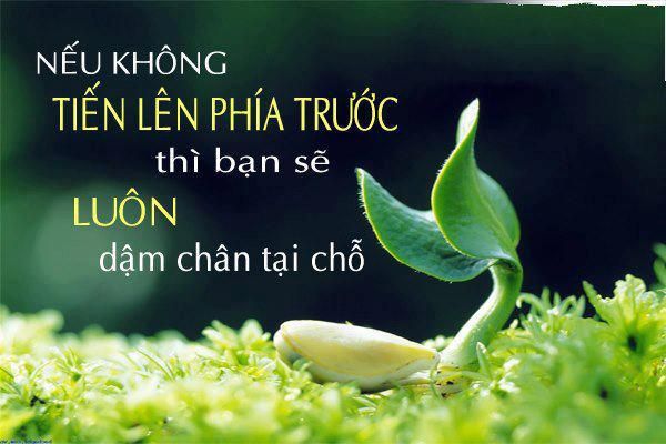 những câu nói hay về công ty - Hình 3