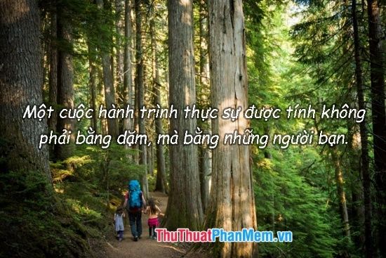 những câu nói hay về những chuyến đi - Hình 5