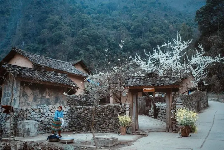 Phố Cổ Đồng Văn Hà Giang Là Gì? Tổng Tất Tần Tật Trải Nghiệm Du Khách