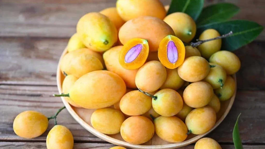 quả thanh trà có tác dụng gì - Hình 3