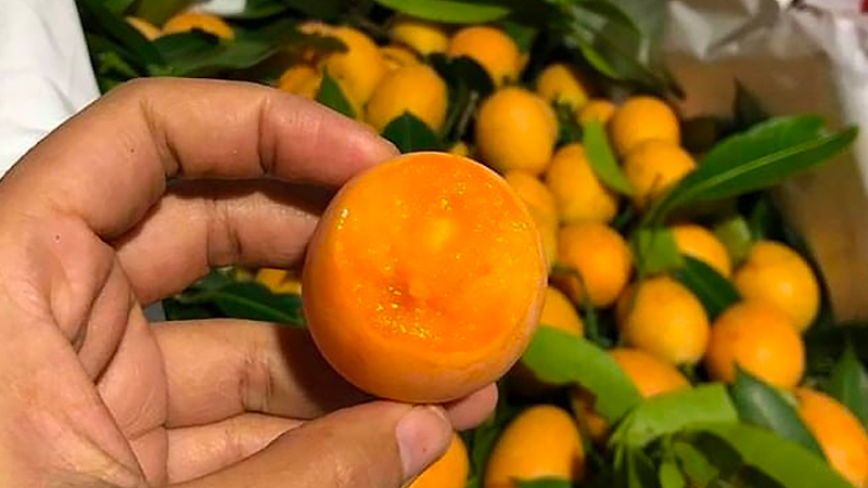 quả thanh trà có tác dụng gì - Hình 5