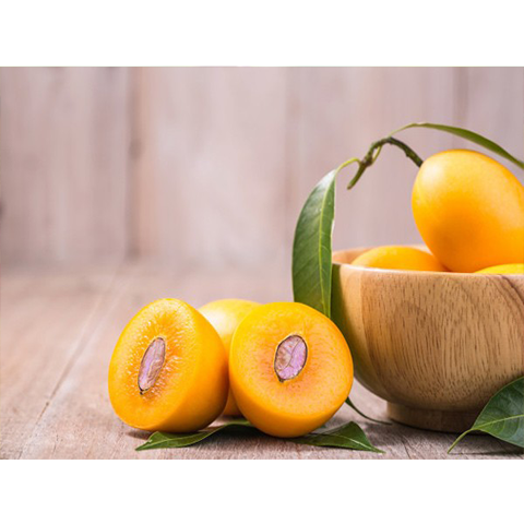 quả thanh trà có tác dụng gì