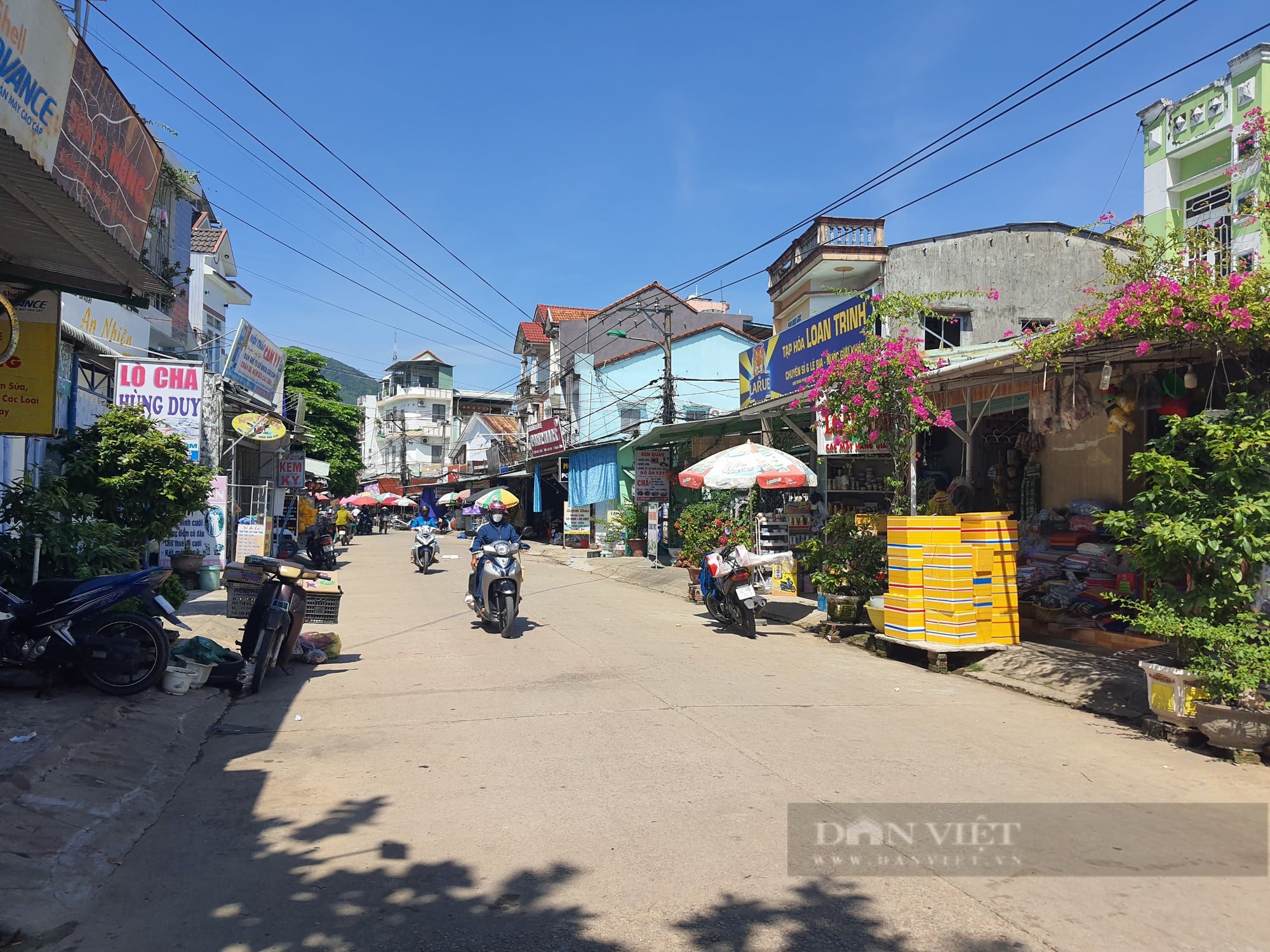 quế trung nông sơn quảng nam - Hình 2