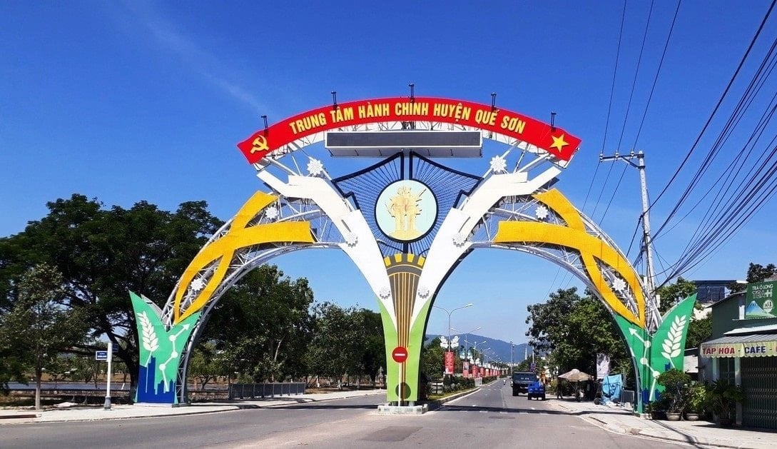quế trung nông sơn quảng nam - Hình 4