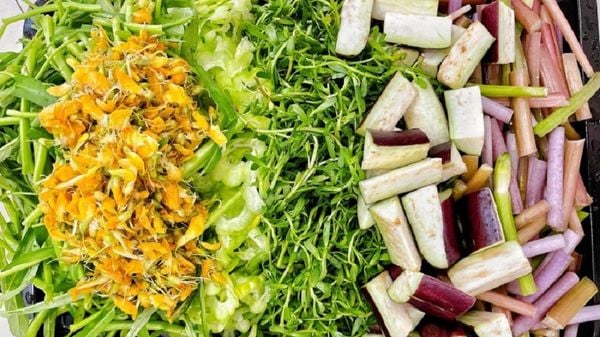 rau ăn lẩu mắm miền tây
