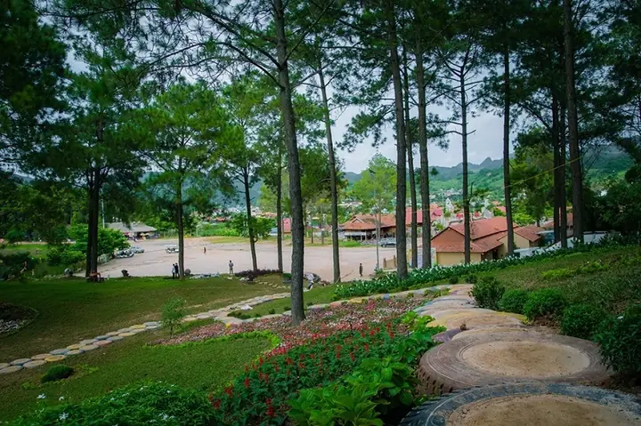 Rừng Thông Bản Áng Mộc Châu: Điểm Đến Xanh Mát Không Thể Bỏ Lỡ