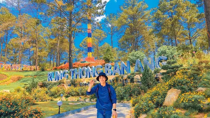 Rừng Thông Bản Áng Mộc Châu: Điểm Đến Xanh Mát Không Thể Bỏ Lỡ Rừng Thông Bản Áng Mộc Châu: Điểm Đến Xanh Mát Không Thể Bỏ Lỡ