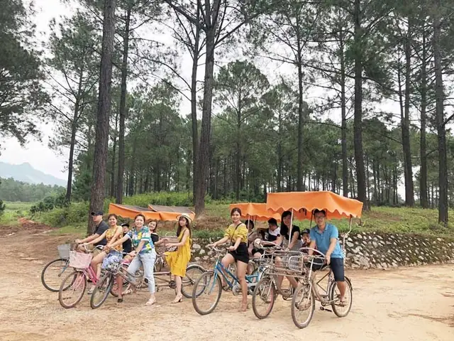 Rừng Thông Bản Áng Mộc Châu: Điểm Đến Xanh Mát Không Thể Bỏ Lỡ Rừng Thông Bản Áng Mộc Châu: Điểm Đến Xanh Mát Không Thể Bỏ Lỡ